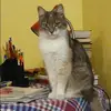 Отзыв от Лада Ефимова